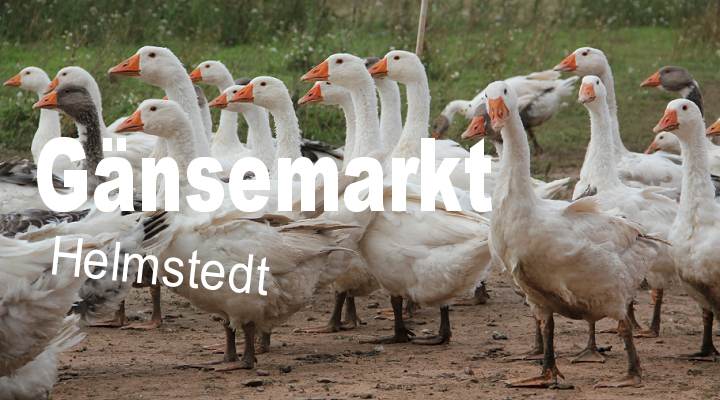 Seite anzeigen...